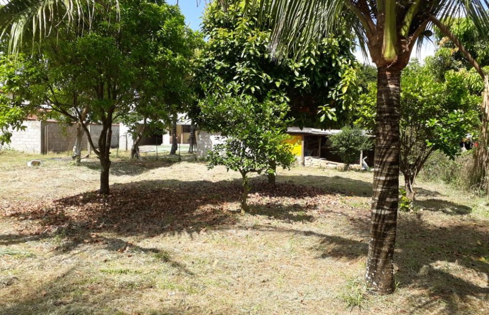 properties